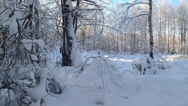 Красивый Февраль