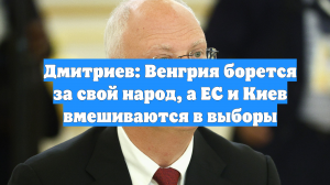 Дмитриев: Венгрия борется за свой народ, а ЕС и Киев вмешиваются в выборы