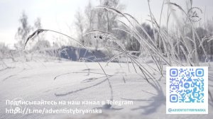 Субботнее богослужение //21.02.2026 //Оправдание верой//Тереньтев Максим // адвентисты Брянска