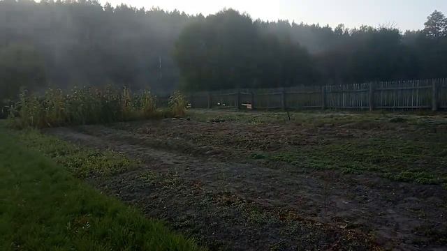 ПРОГУЛКА ПО УЧАСТКУ. НАШ ДОМ В ДЕРЕВНЕ. смотреть онлайн