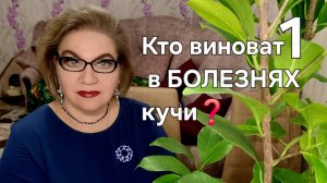 1 часть. Кто виноват в БОЛЕЗНЯХ кучи❓️