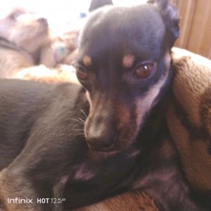 всем привет!