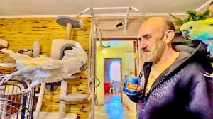 Жора вызывает Влада на бой ЗА КРЫЛО прекрасной дамы)))