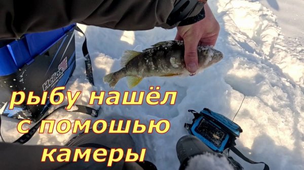 Самая Лучшая Подводная Рыбалка в Сибири. Легкий морозец в - 36 есть солнце и облака. Ловим Рыбу