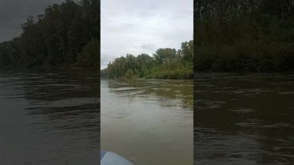 Флагман 420 мотор 9.9 гоняем по Томи.