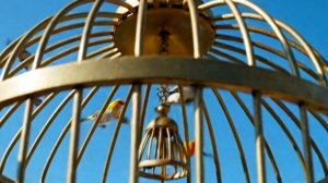 Зарифмованный пустяк.mp4