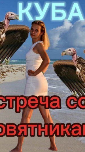 Каникулы на Кубе  и встреча со стервятником