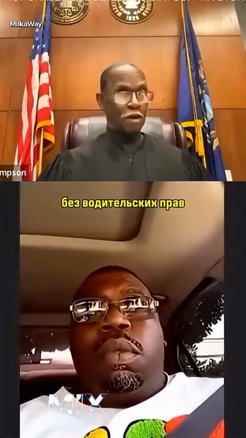 Слабоумие и отвага 😂 или просто слабоумие 🧐🧐