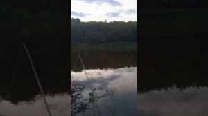 Фидер. Река Исеть.mp4