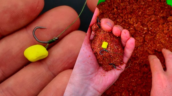 Рыбалка на карпа на флэт пружину на диком водоёме