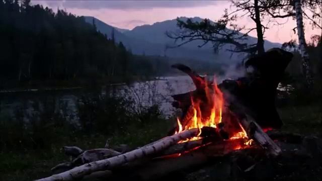 Дон Дикерман. Не впускай свиней .