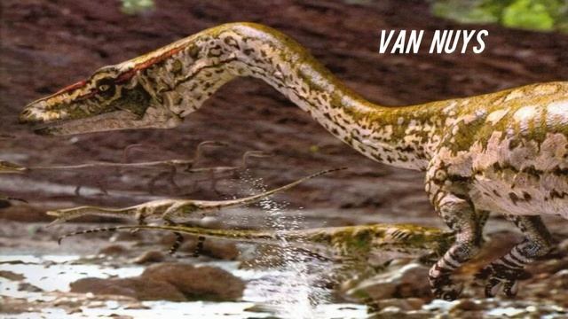 Sixx A.M. - Van Nuys