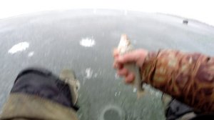 Состояние льда нв Маныче 20 февраля Часть 2  Зима 2026 г. обзор Юрия Философа