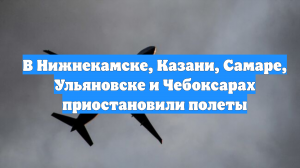 В Нижнекамске, Казани, Самаре, Ульяновске и Чебоксарах приостановили полеты