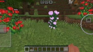 вопросы от меня потомушто не написали