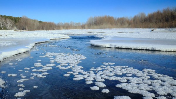 Видео 4K для релаксации. Алтай в феврале. Fujifilm GFX100RF.