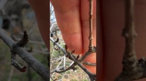 Крым сегодня 21.02.2026! Весна, весне дорогу. Крым 2026 #крым2026 #крым #веснавкрыму