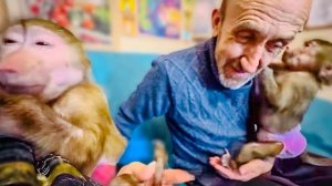 СМЕШНО! Степа и Маня устроили нам с Владом СПА САЛОН!