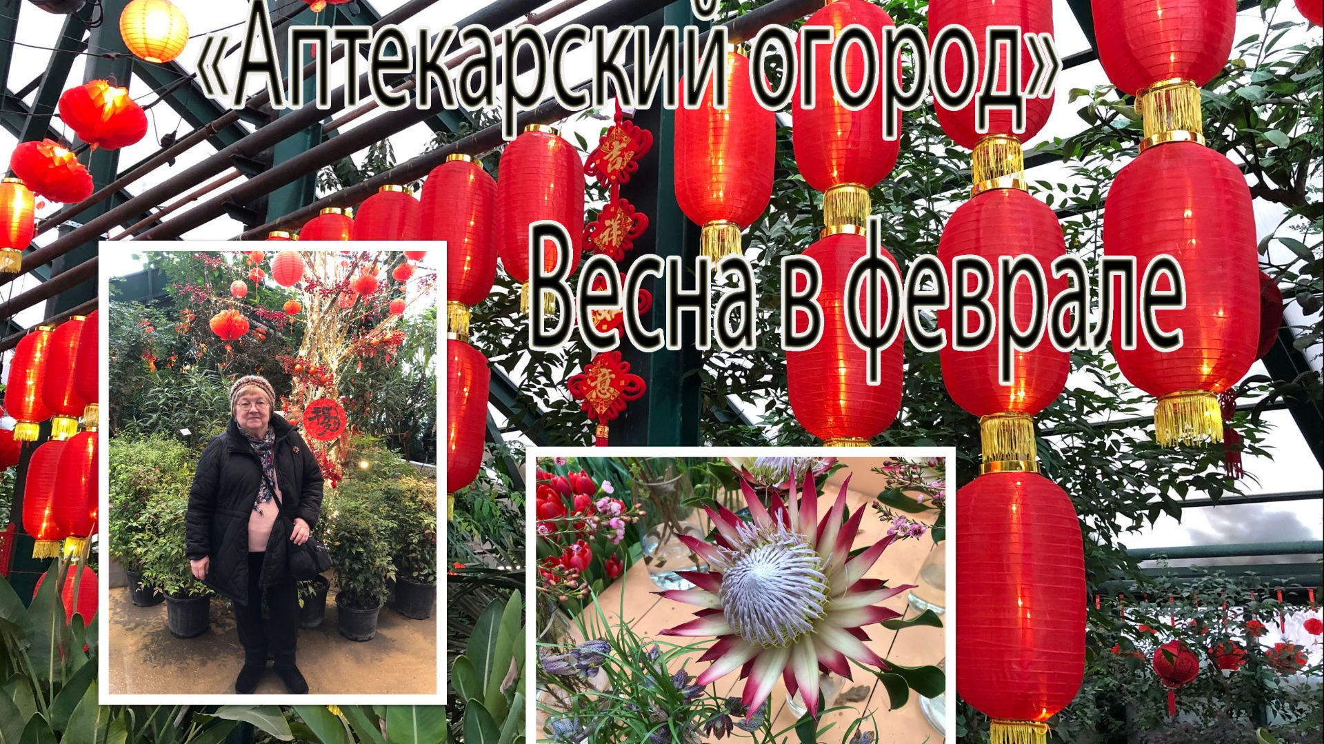 Весна зимой. "Аптекарский огород". смотреть онлайн