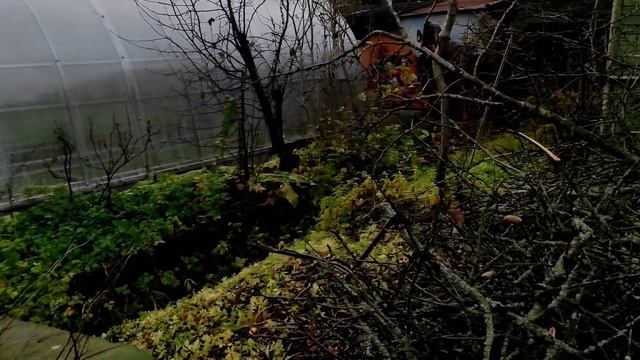 8-Моя новая дача.. второй участок.. строим мостик. 31.10.-01.11.21..1 часть