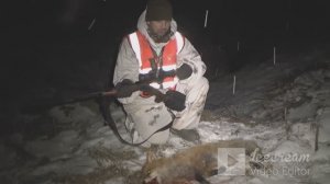 ночная охота с тепловизором.подстрелил зверя)