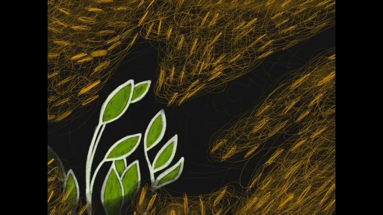 Золотая рыбка 2016. Иван Бондаренко