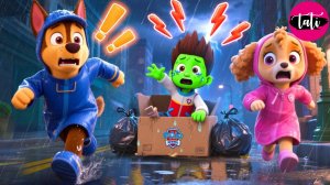Щенячий патруль и Маршалл. Залипательное видео. Мультфильм для детей и малышей. Анимация 274