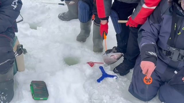 copy_D5892B68-95C4-49ED-B735-DCE8DE59B6EA смотреть онлайн