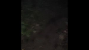 хоррор без смысла.. (В ВИДЕО ПРИСУТСТВУЮТ СКРИМЕРЫ И ОГОНЬКИ И ГРОМКИЕ ЗВУКИ ЕЩЕ)