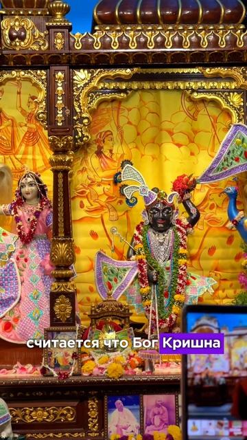 Кришна Фест смотреть онлайн
