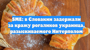 SME: в Словакии задержали за кражу рогаликов украинца, разыскиваемого Интерполом