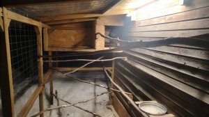 Ворон Гриша 16 февраля, с праздником