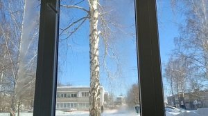 Доброе утро/зацвёл красный декабрист/ Сталкер 2/снегу по пояс