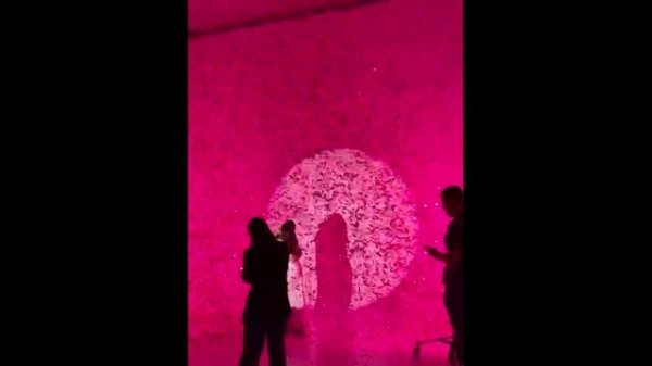 Определение пола ребенка