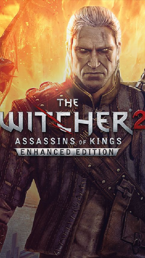 ЗА ЧТО НЕНАВИДЯТ ИГРУ ВЕДЬМАК 2