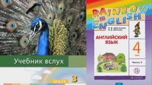 Rainbow English 4-1, Unit 3 Step 5, Английский язык 4 класс ч.1, Афанасьева.