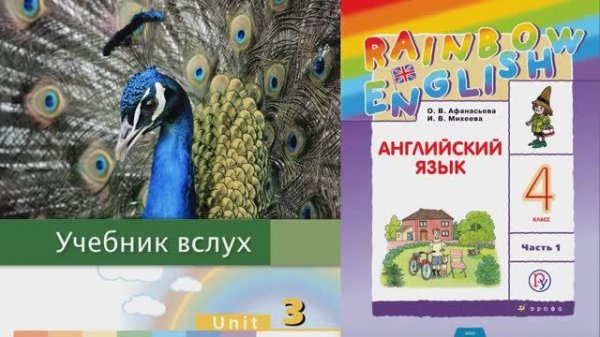 Rainbow English 4-1, Unit 3 Step 5, Английский язык 4 класс ч.1, Афанасьева.