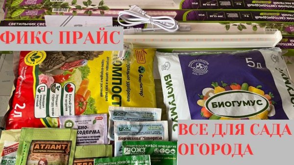 СМЕТАЮТ ВСЕ / ФИКС ПРАЙС / НЕ ОЖИДАЛА УВИДЕТЬ ТАКИЕ ТОВАРЫ