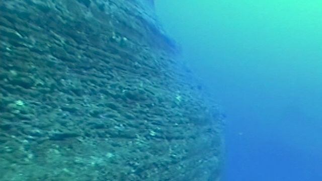 Pentecost Island (фрагмент ``2004 г. Вануату. Табу``