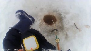 рыбалка в усински под мостом