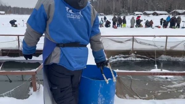 Запуск форели