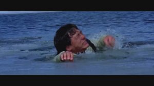 Полицейская история 4: Первый удар: Снежная Погоня (Часть 2) (Американская версия)