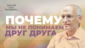 Причины непонимания друг друга (Торсунов О. Г.)