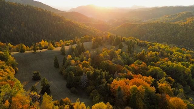 4к видео природа и животные