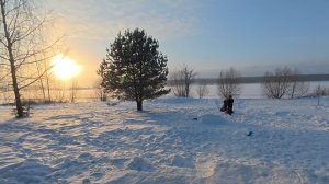 Новый Новый Новый год 2026