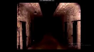 Информация о Стримере Диасе