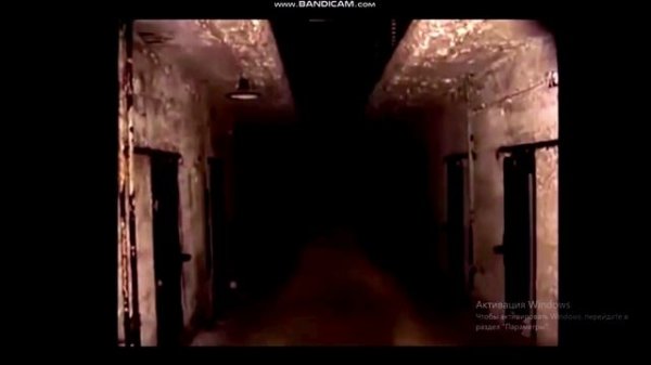 Информация о Стримере Диасе