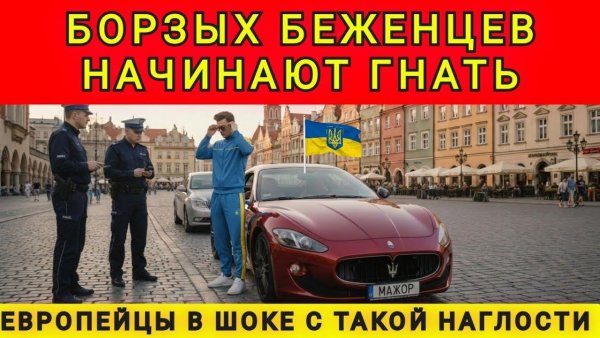 Европейцы в шоке от наглых беженцев. Аня Колобок