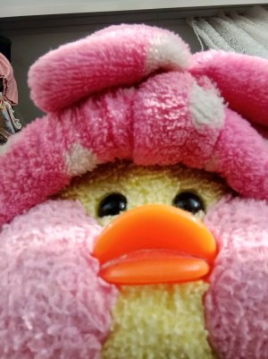 всем привет