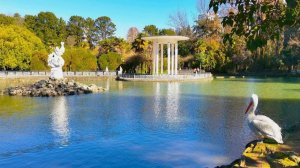 сочи, дендрарий, дендрарий сочи, сочи онлайн, сочи сегодня, сочи официальный сайт, парк дендрарий,